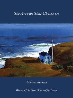 cover image of The Arrows That Choose Us